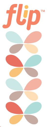 flip-logo.jpg