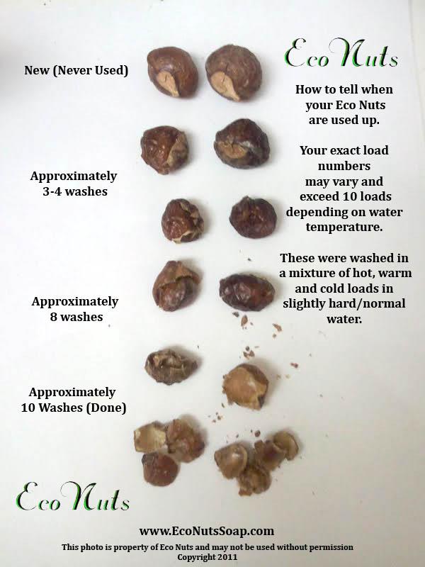 how-to-tell-when-eco-nuts-are-used-up.jpg how-to-tell-when-eco-nuts-are-used-up.jpg