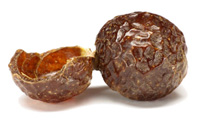 soapnutpic.jpg soapnutpic.jpg